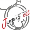 Jumping Cats