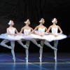 Боевой балет