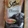 Sheba Pleasure