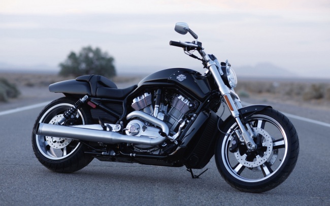 Мотоциклы Harley-Davidson или мотоциклы BMW