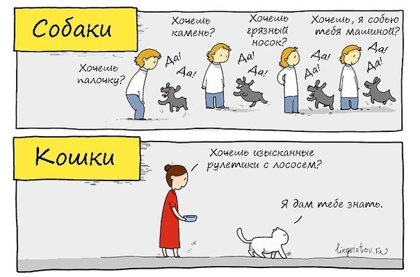 кошки или собаки