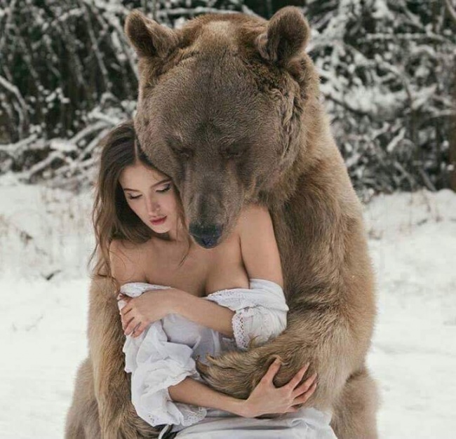 медведь и девочка