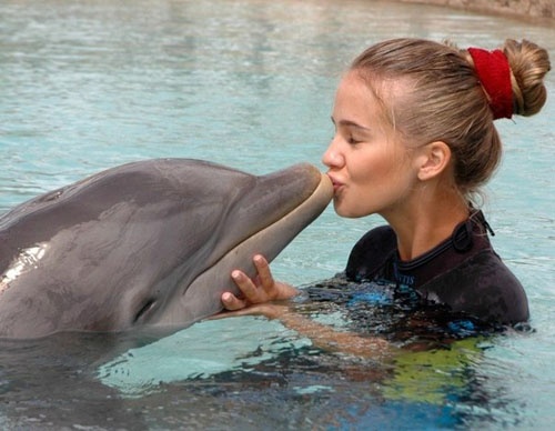 дельфин фото