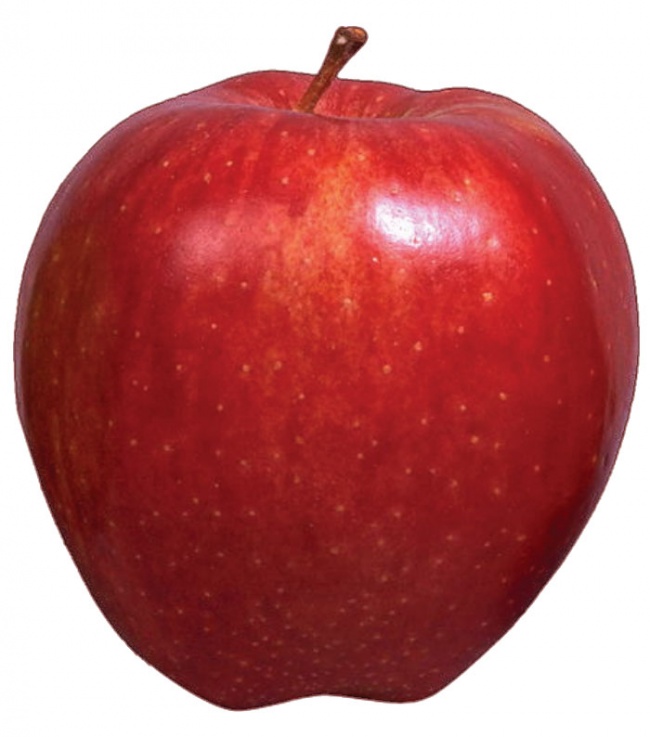 красное или зелёное яблоко