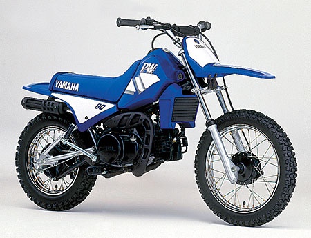 Yamaha или Suzuki