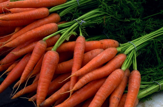 морковь или редис