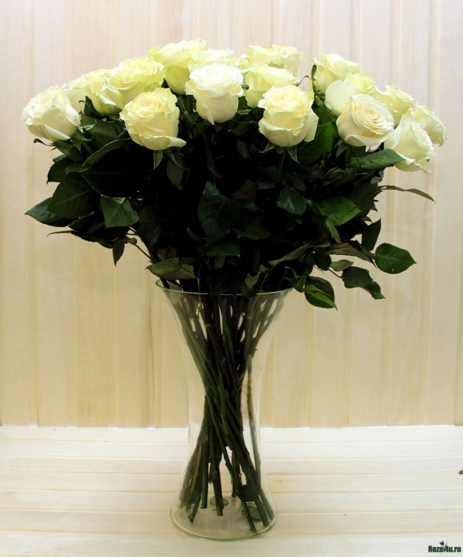 Роза белая 70 см