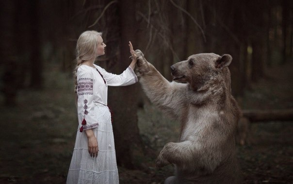 медведь и девушка