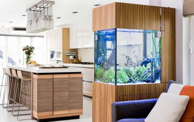 Хотите аквариум себе в дом