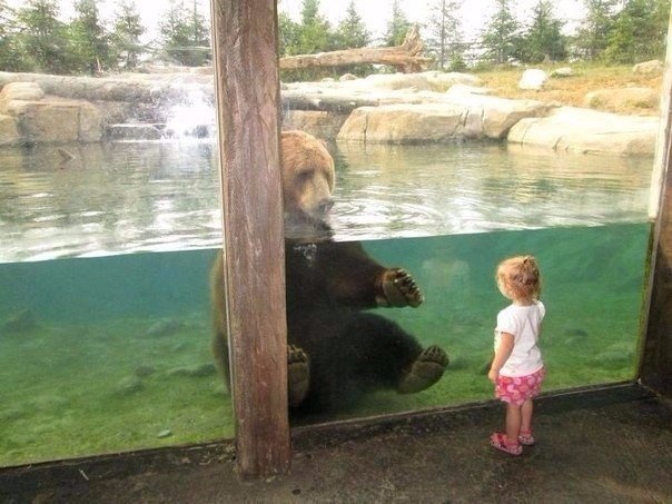медведь и ребенок