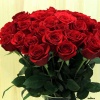 Роза красная 70 см