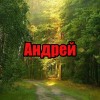 Андрей
